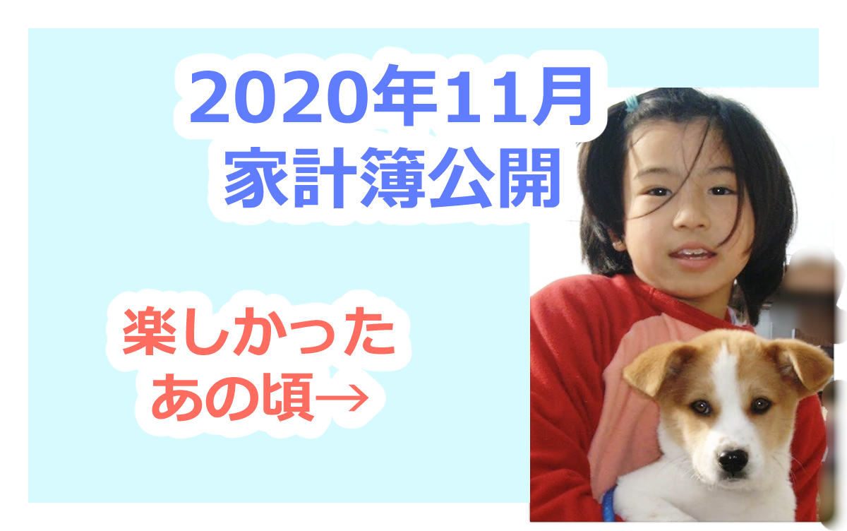 資産500万達成 お金のかからない私の趣味紹介 年11月家計簿 ふゆこサバイバル